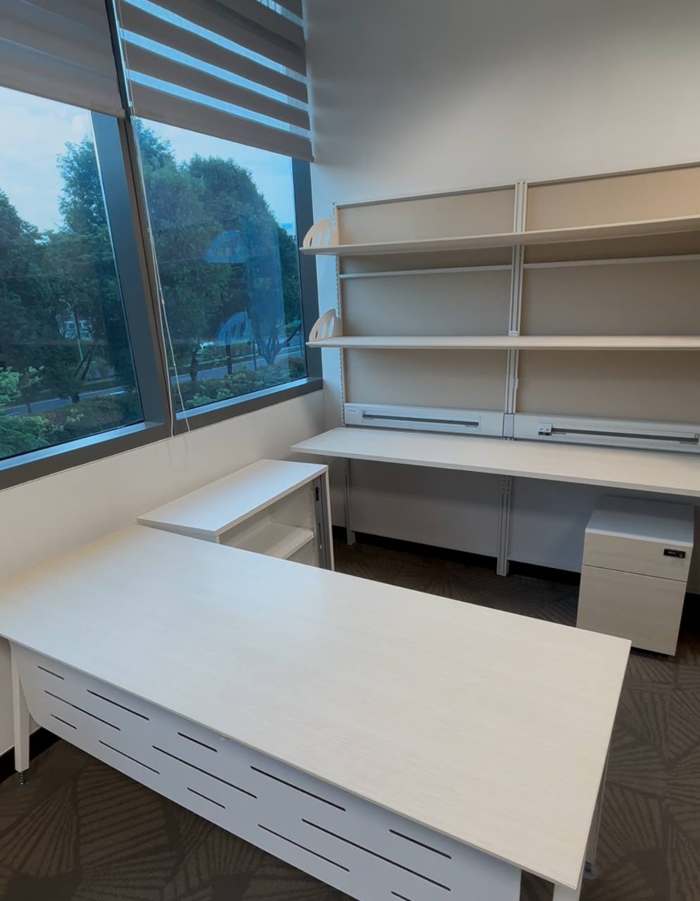 Photo_6251158843467434900_y